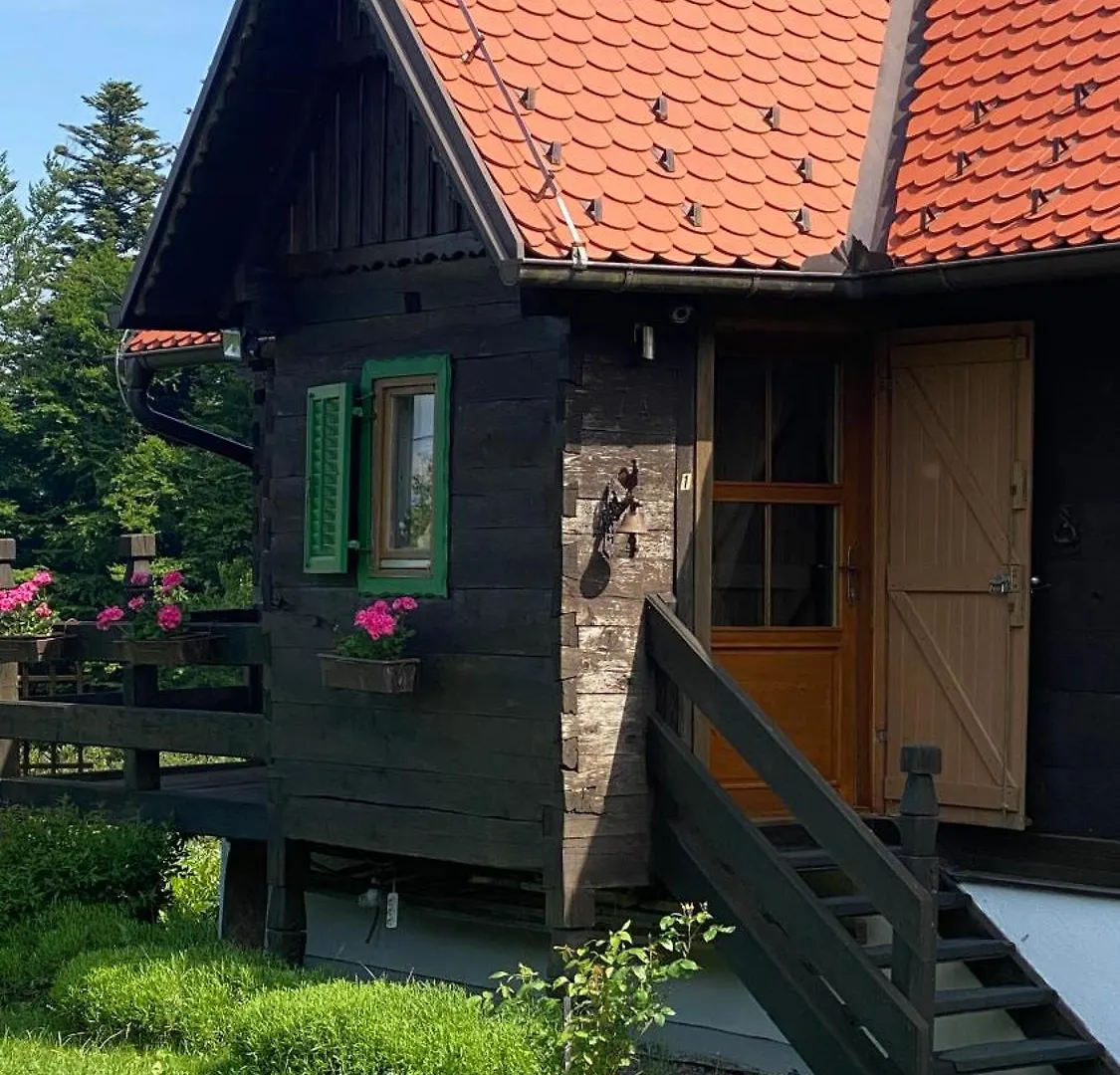 Apartments Montana Fužine
